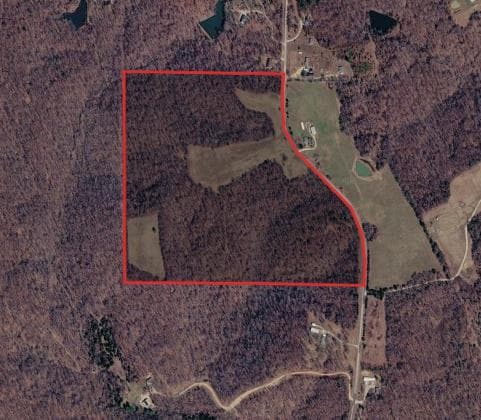84 Acre Bollinger County Hunting Lease - Photo 1