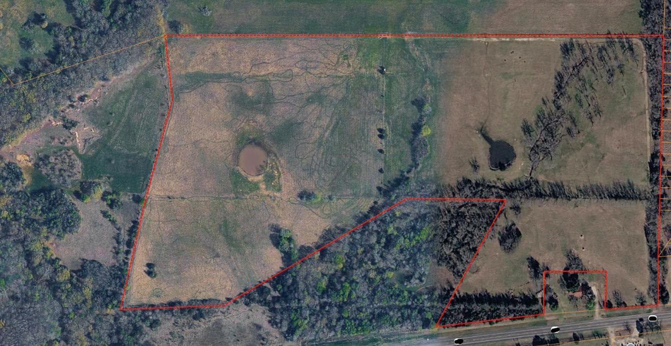 Rains County 55 Acre Hunting lease - Photo 1