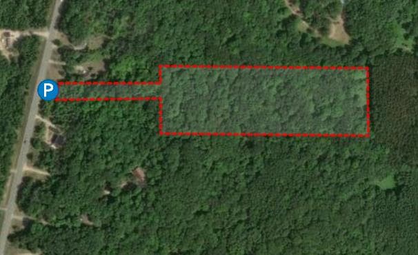 13 Acre Wexford County Hunting Lease - Photo 1