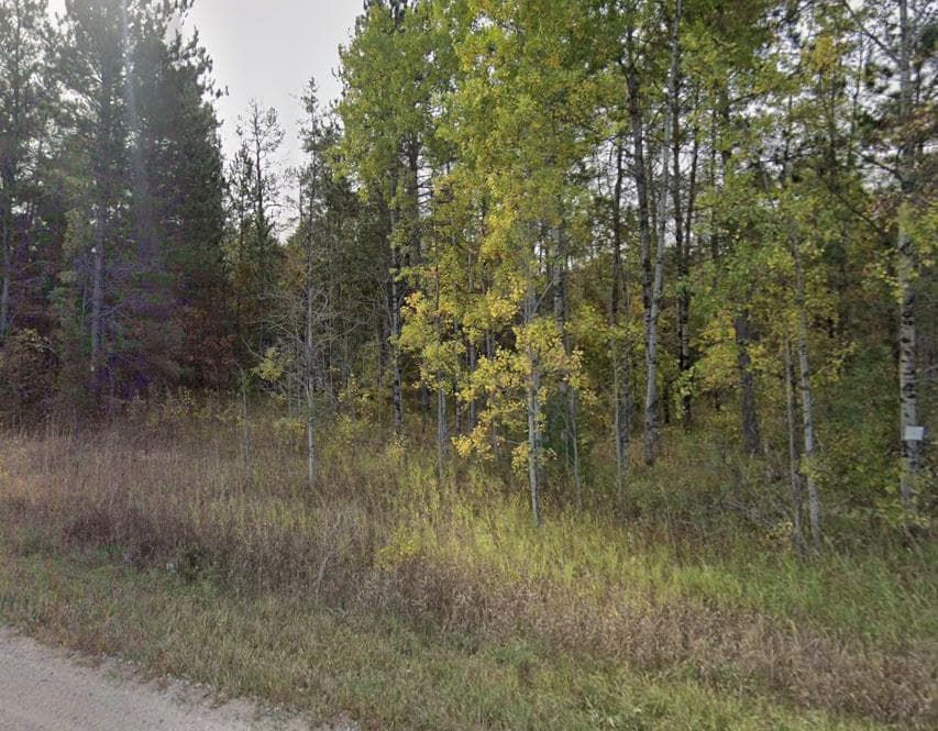 10 Acre Montmorency County Hunting Lease - Photo 1