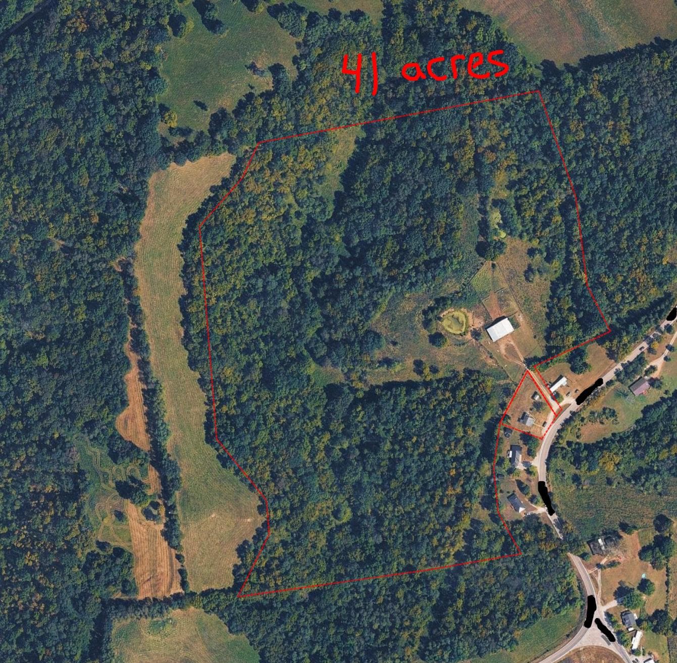 Pendleton County 41 acre Hunting lease - Photo 1