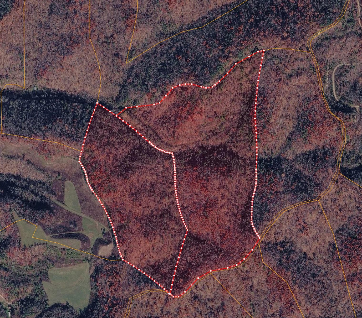 110 Acre Elliott County KY Hunting lease - Photo 1