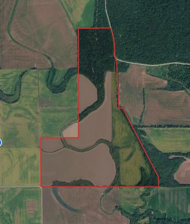 258 Acre Macon County Hunting Lease - Photo 1
