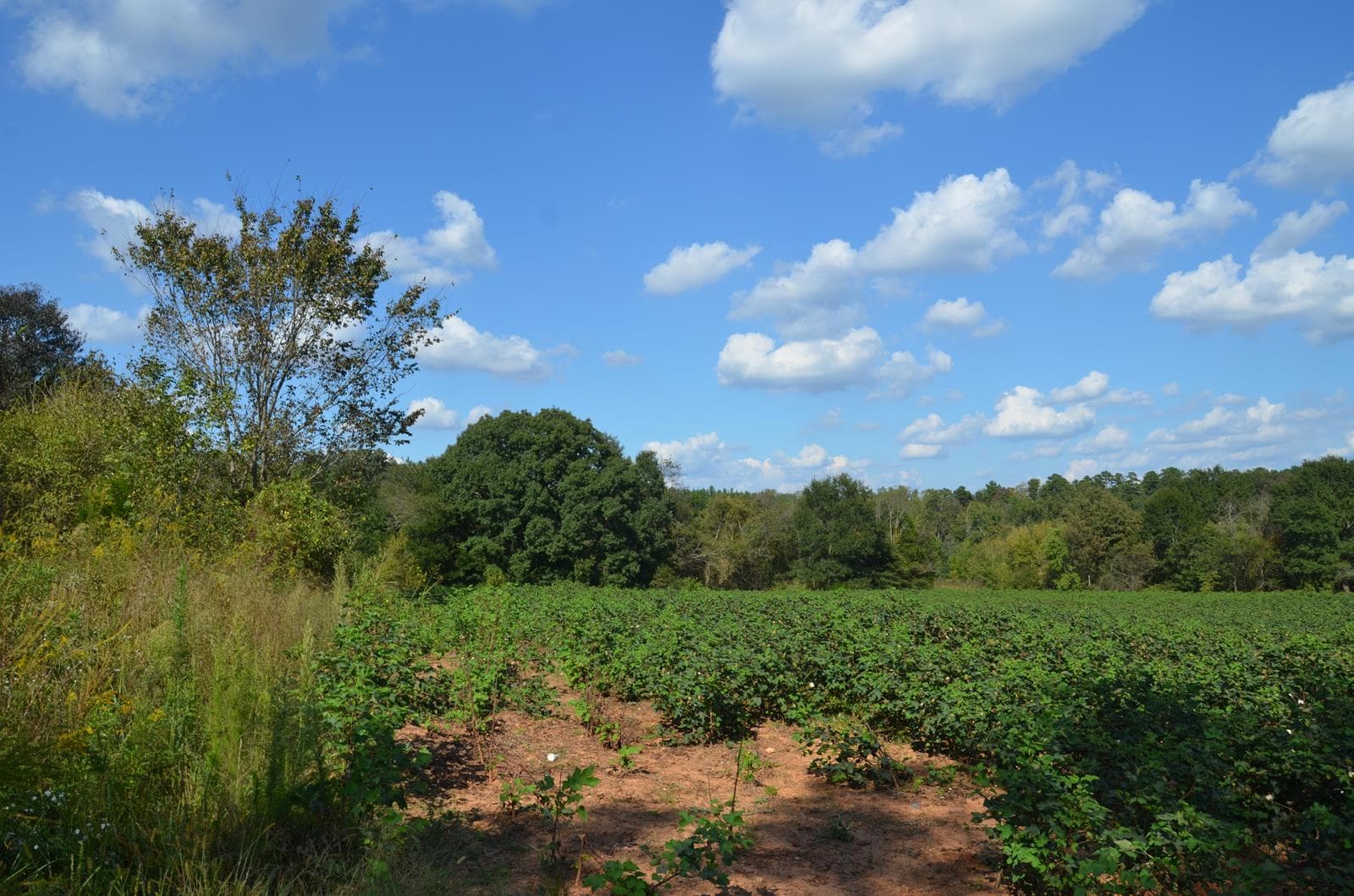 Epple Acres - Photo 1